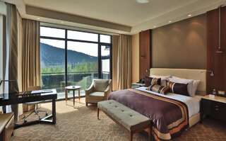 Отель Borjomi Likani Health & Spa Centre Боржоми Номер Делюкс с кроватью размера «king-size»-2